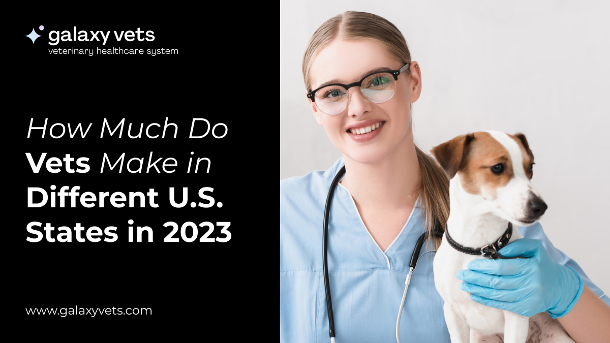 How Much Do Vets Make In The United States In 2023