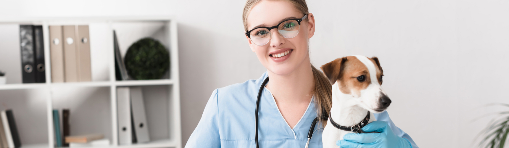 How Much Do Vets Make in the United States in 2023