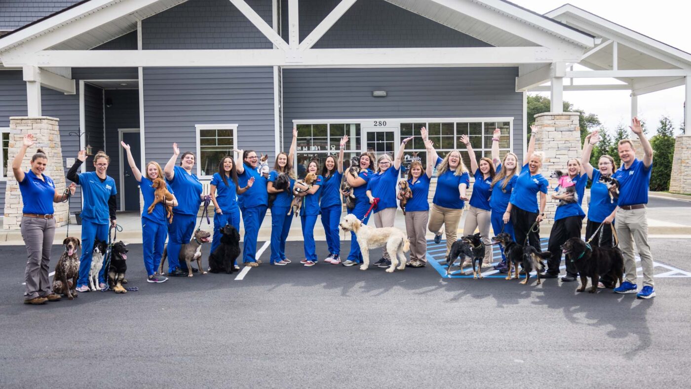 Danville Family Vet, a veterinary hospital in Virginia powered by Galaxy Vets